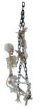 Hanging Skeleton with Chained Ladder