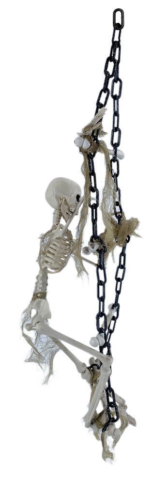 Hanging Skeleton with Chained Ladder