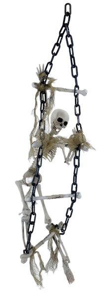 Hanging Skeleton with Chained Ladder