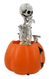 Skeleton Sitting on Pumpkin