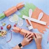 Carrot DIY Crackers 6/Pack