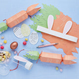 Carrot DIY Crackers 6/Pack