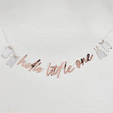 'Hello Little One' Banner 2m