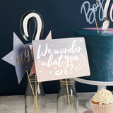Gender Reveal Photo Booth Props 10/Pack